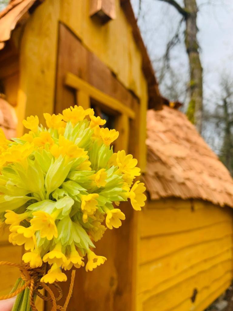 Camping Ushuaia Villages Au Bois Joli Andryes Dış mekan fotoğraf