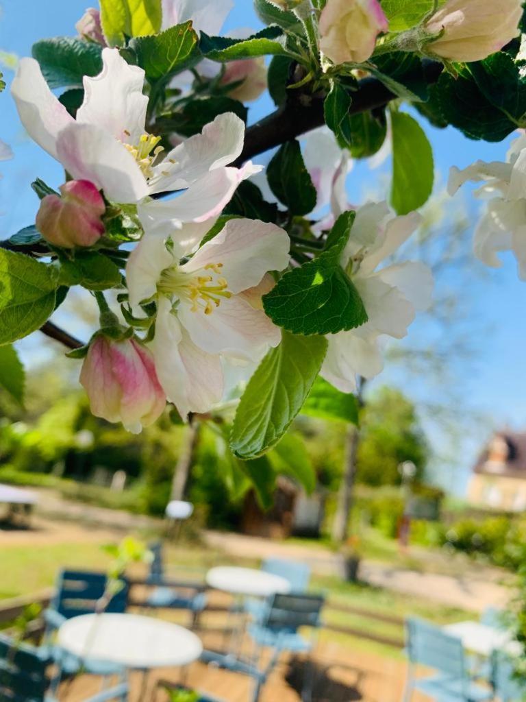 Camping Ushuaia Villages Au Bois Joli Andryes Dış mekan fotoğraf